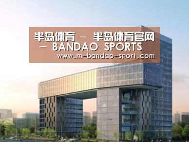 案例展示四(图1) 案例展示四(图1)