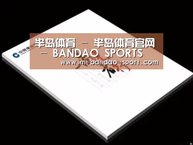 项目名称七