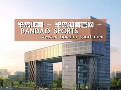 案例展示四